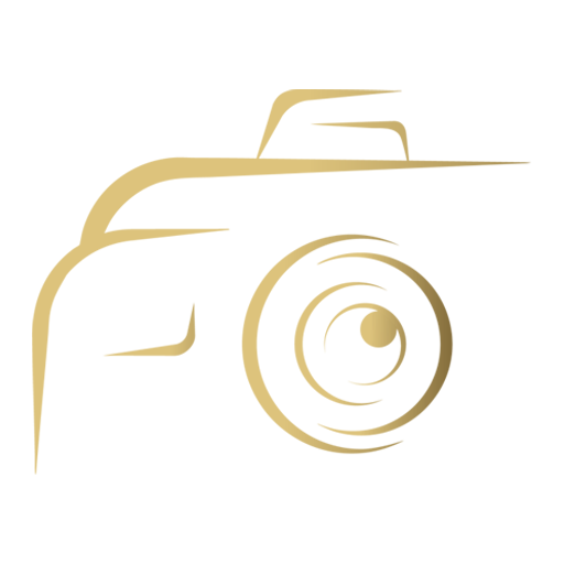 FocusFeelm logo